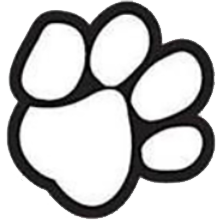 Paws Veterinary Clinic and Grooming Spa Favicon