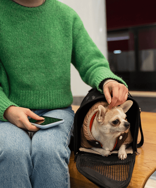 A person sitting next to a dog in a carrier